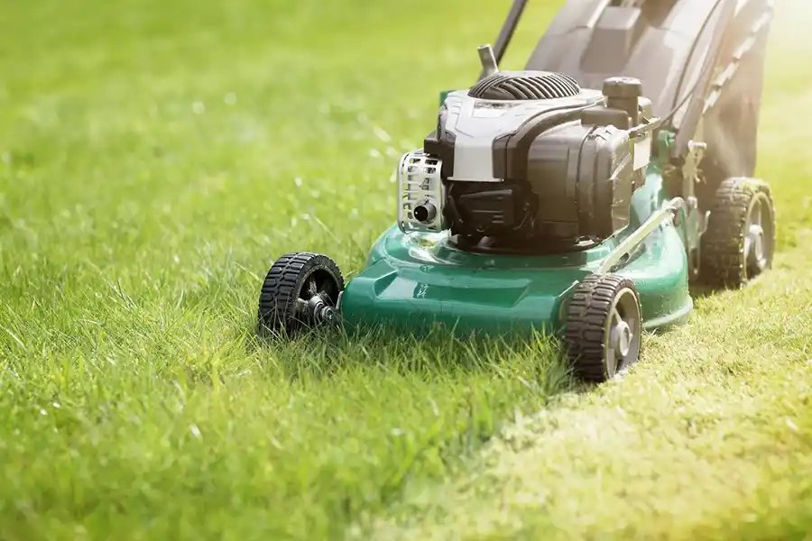 Can you mow wet grass in Toronto, ON