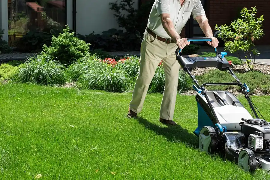 Can you mow wet grass Toronto, ON