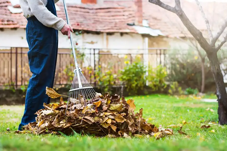 How To Clean A Backyard in Toronto, ON 