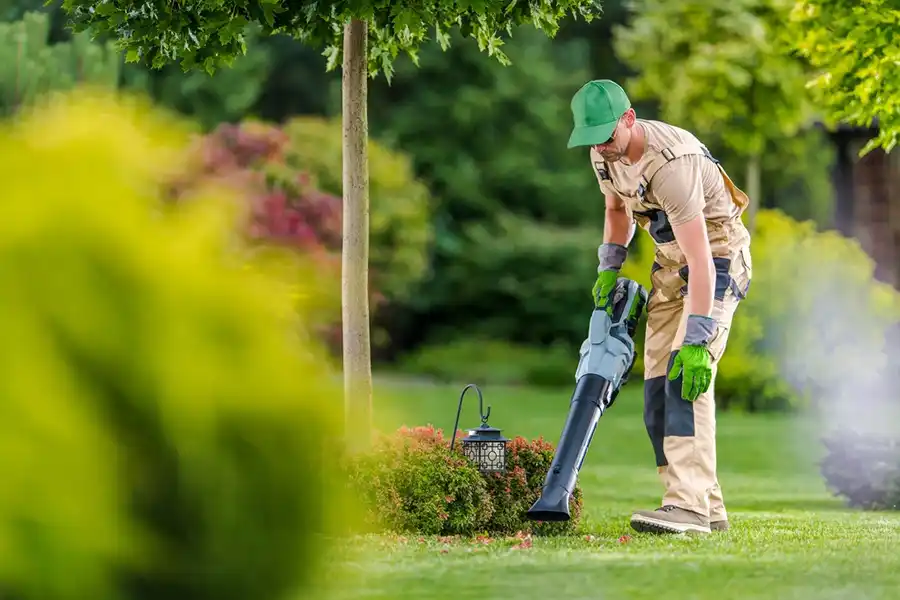 How To Clean A Backyard Toronto, ON 