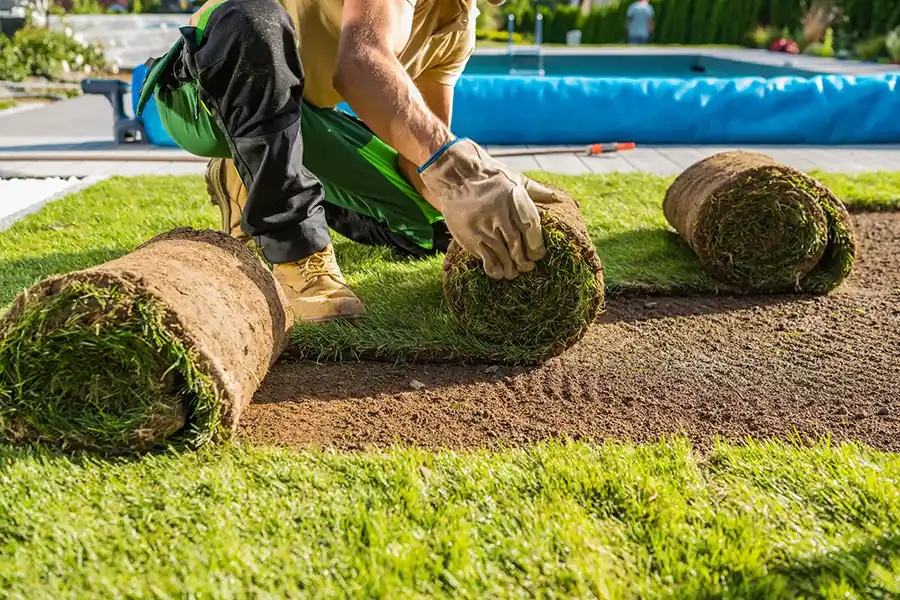 How long after installing sod can you walk on it in Toronto, ON 