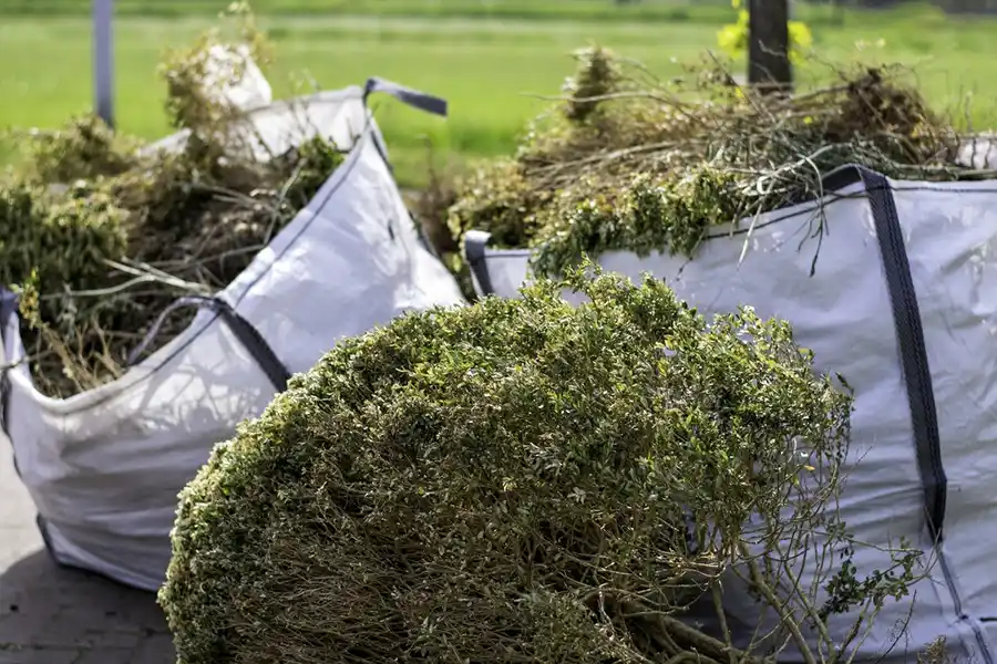 How to clear a yard full of weeds in Toronto, ON