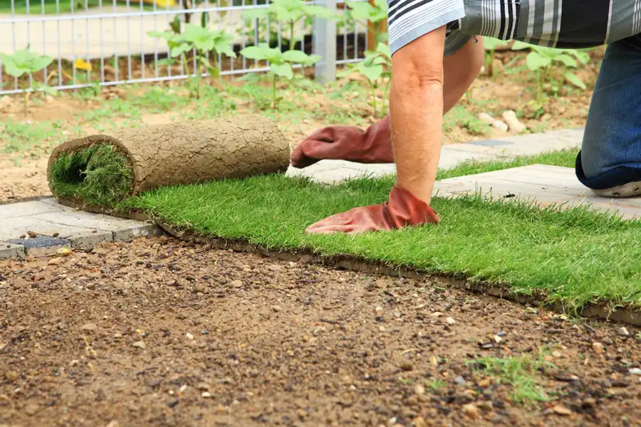 How to lay sod over existing lawn in Toronto, ON