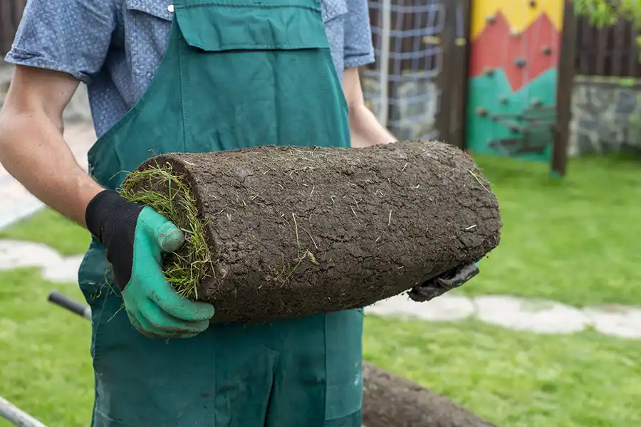 How to lay sod over existing lawn Toronto, ON