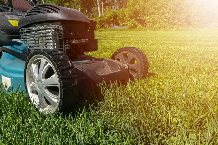 How to mow a lawn in Toronto, ON