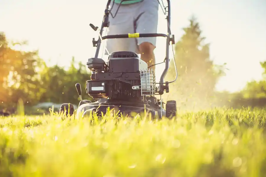 How to mow a lawn Toronto, ON