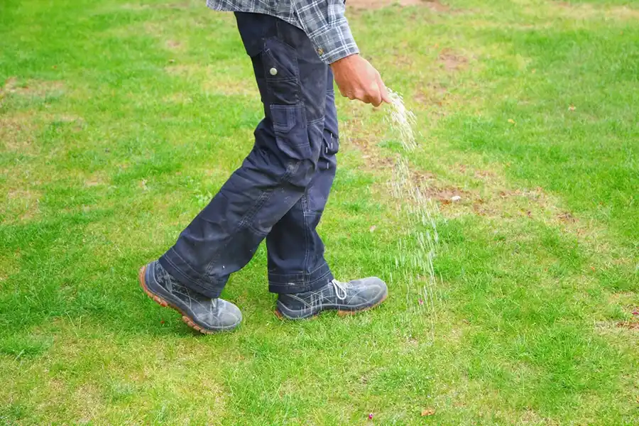 Efficient Lawn Fertilization in Toronto, ON