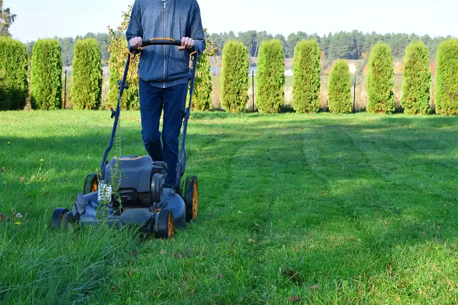 Efficient Lawn Mowing in Toronto ,ON