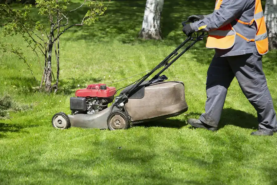 Reliable Lawn Mowing in Toronto ,ON