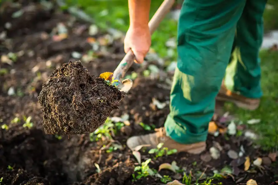 Reliable Mulching in Toronto, ON