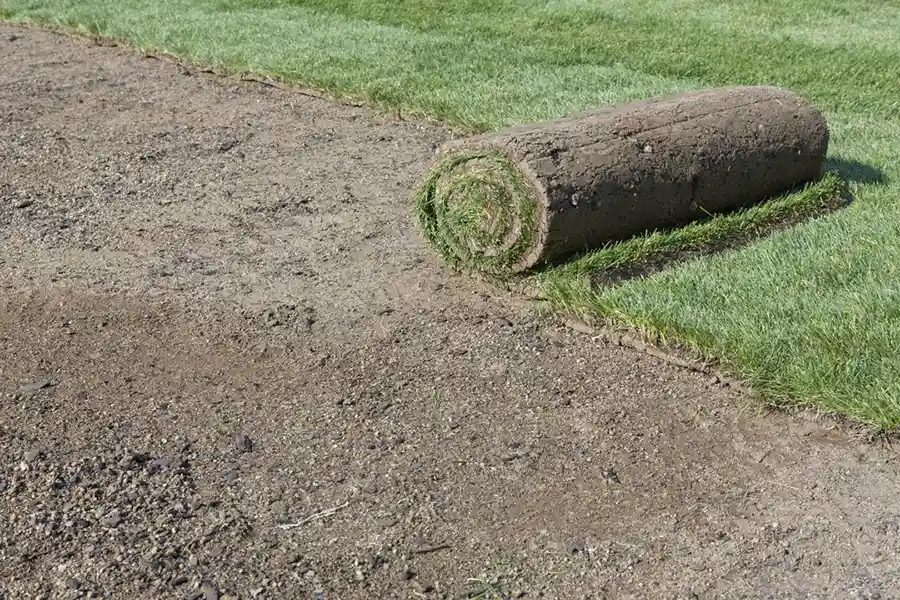 Efficient Sod Installation in Toronto, ON