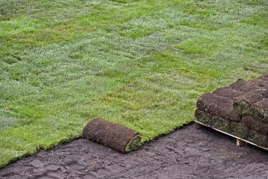 Best Sod Installation in Toronto, ON