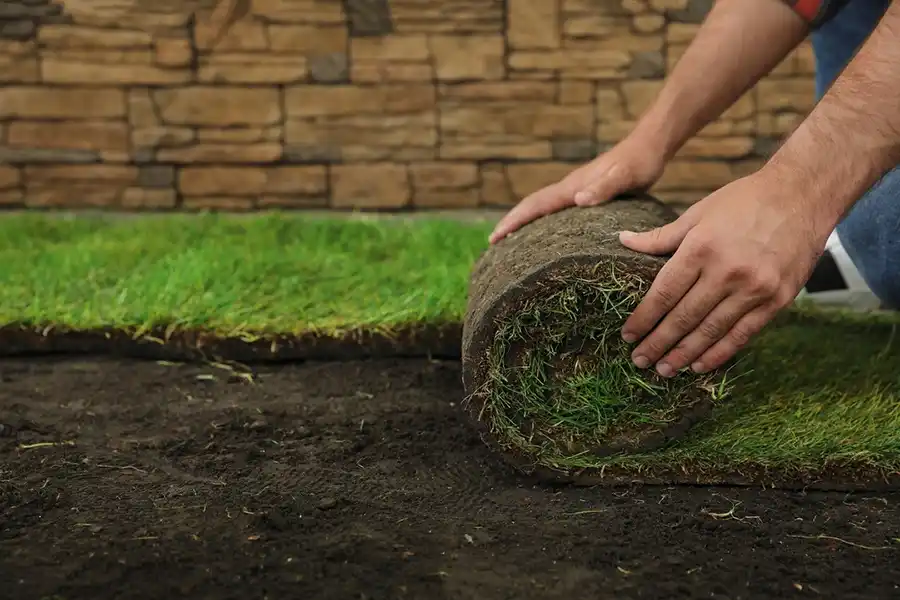 Reliable Sod Installation in Toronto, ON