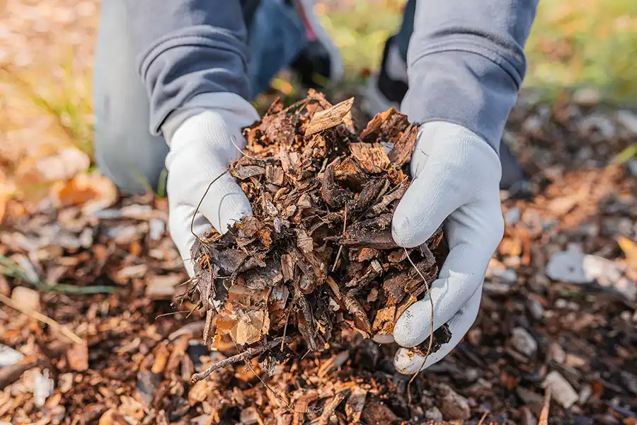 What does mulch do Toronto, ON