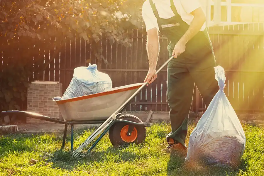 Best Yard cleanup in Toronto, ON